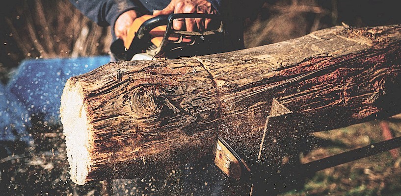 Bigg.se | Guide: Choose the right gasoline-powered chainsaw