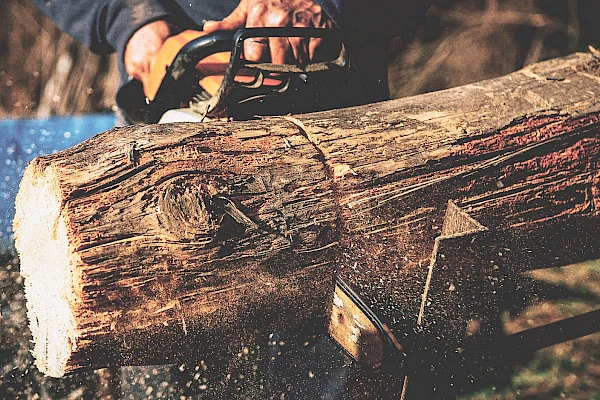 Guide: Choose the right gasoline-powered chainsaw