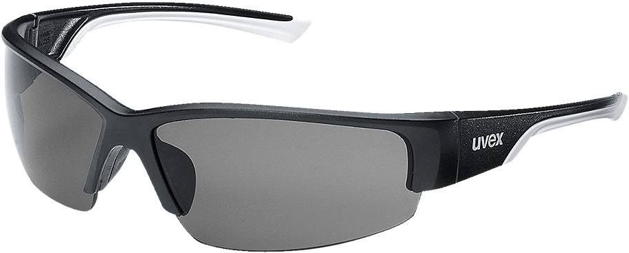 Uvex Safety Glasses Polavision